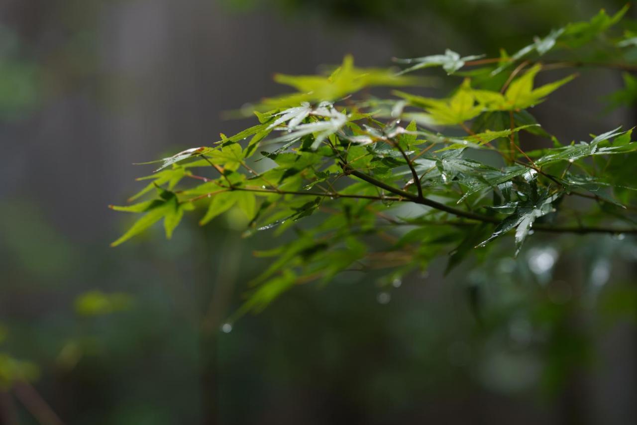 滔々 御崎 町家の宿 Toutou Onzaki Machiya No Yado Kurashiki Exteriör bild
